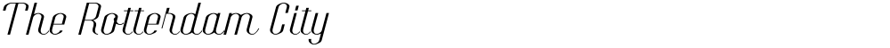 The Rotterdam City