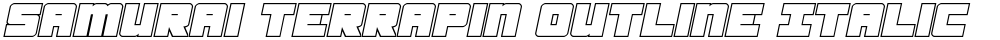 Samurai Terrapin Outline Italic