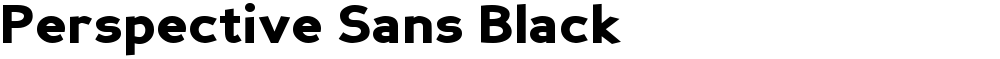 Perspective Sans Black