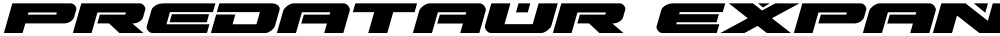 Predataur Expanded Italic