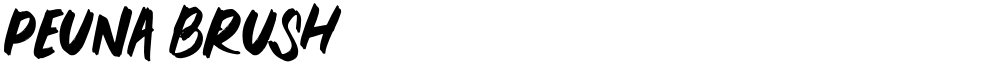 PEUNA BRUSH
