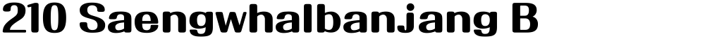 210 Saengwhalbanjang B