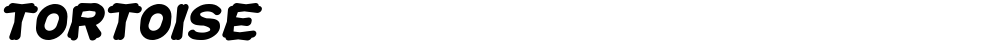 TORTOISE