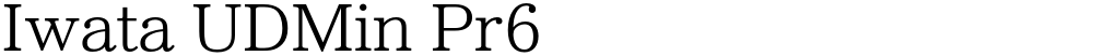 Iwata UDMin Pr6