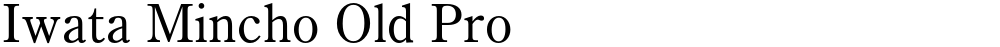 Iwata Mincho Old Pro