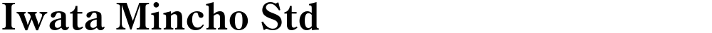 Iwata Mincho Std
