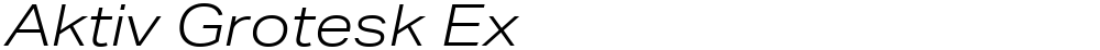 Aktiv Grotesk Ex