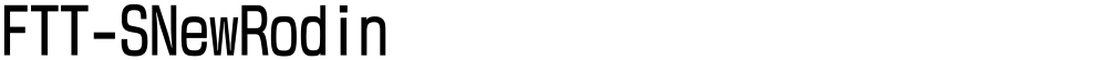 FTT-SNewRodin