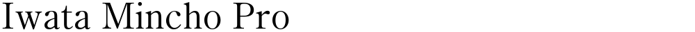 Iwata Mincho Pro