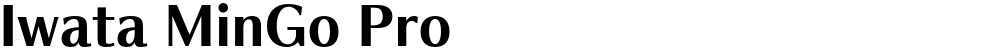 Iwata MinGo Pro