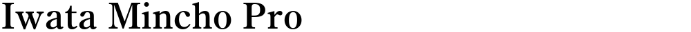 Iwata Mincho Pro
