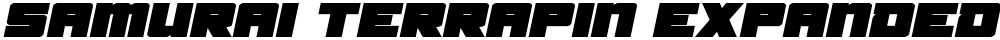 Samurai Terrapin Expanded Italic