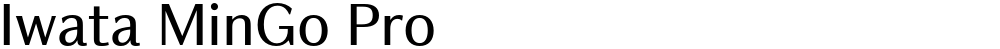 Iwata MinGo Pro